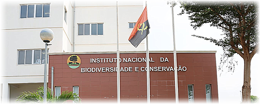 Prédio institucional com bandeira ao centro, fachada marrom e placa “Instituto Nacional da Biodiversidade e Conservação”.
