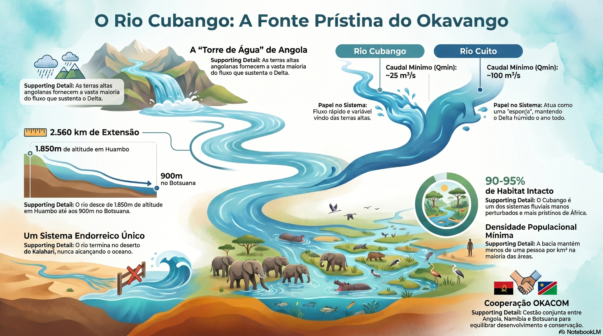 Infográfico colorido do rio Cubango no Okavango, com mapas, animais, setas e dados de caudal.