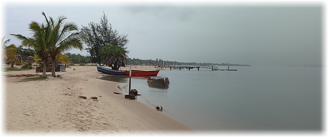 Tropical beach with palm trees, calm water, and small boats moored near a long pier.