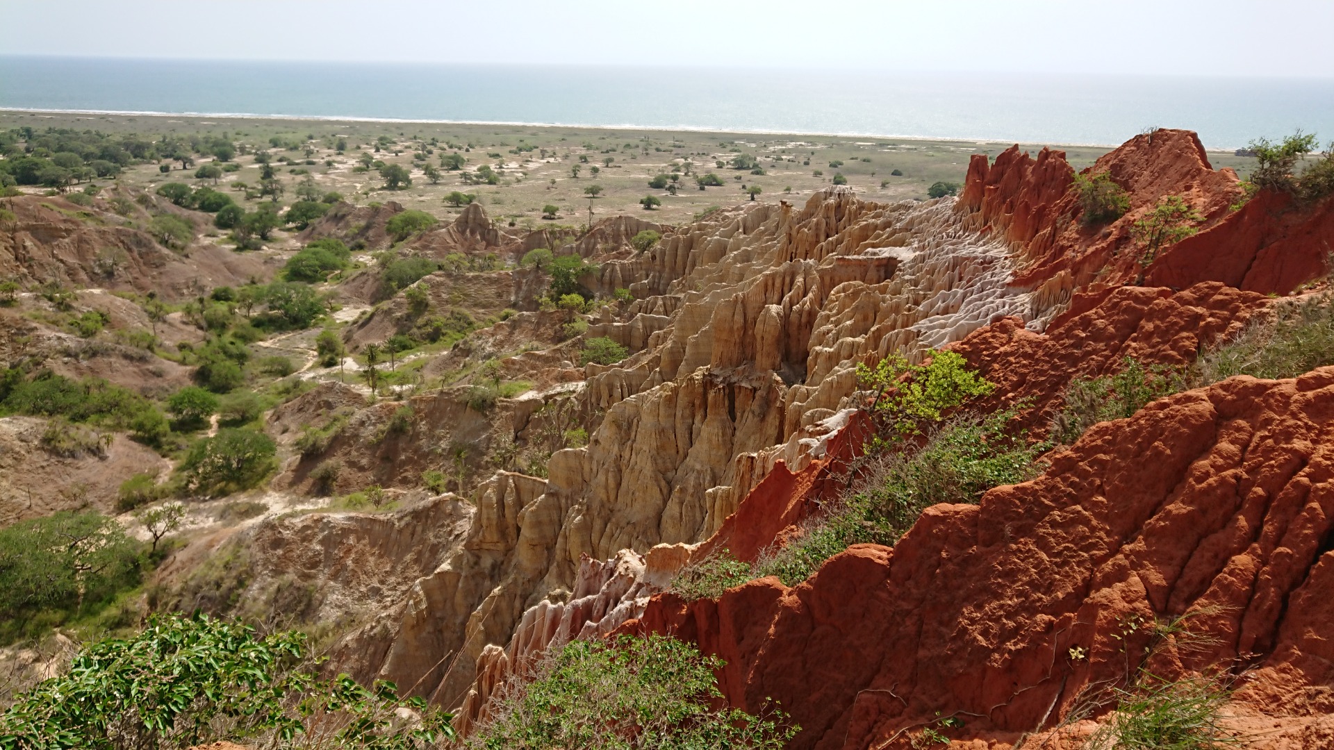 Vast desert valley with red rock cliffs, sparse trees, and distant ocean under a pale sky.Miradouro da Lua